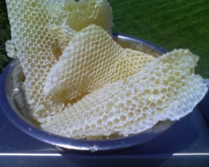 Burr comb removed