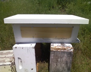 Golden Mean Top Bar Hive