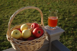 Fresh Cider 2009