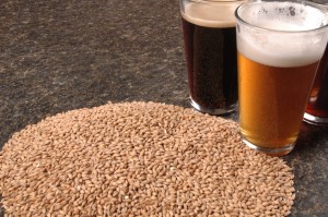 FoamAndGrain Foam and Grain